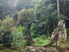 -云南民族大观园