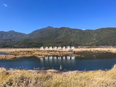 -腾冲北海湿地