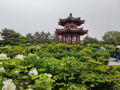 -大慈恩寺(大雁塔)