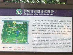 -御林古桑园