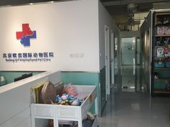 -欧奕国际动物医院