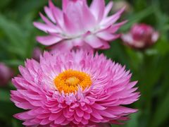 -福田红树林生态公园