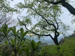 -都江堰景区