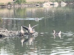 -海珠湖公园