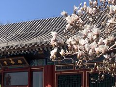 -颐和园