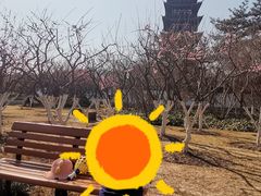 -上海方塔园