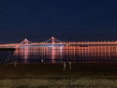 -星海湾跨海大桥