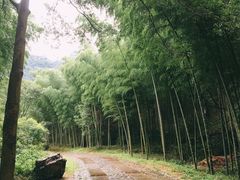 -黄公望隐居地