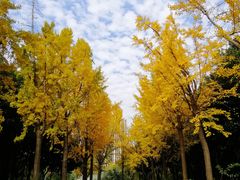 -苏州河梦清园环保主题公园