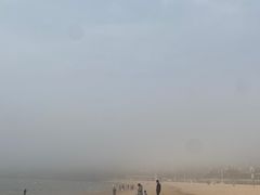-青岛海滨风景区