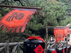 -沂蒙山旅游区龟蒙景区