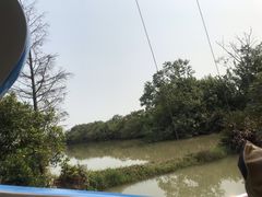 -大湾区中央湿地公园