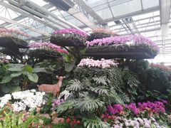 -兰陵国家农业公园