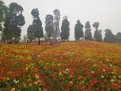 -秀丽东方