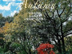 -宝界山林公园