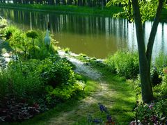 -上海共青森林公园