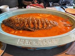 -阿五黄河大鲤鱼(建业路店)