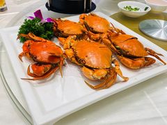 -万禧明珠大酒楼(海丰店)