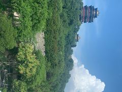 -七欣天香辣蟹火锅(南京建宁路大观天地店)