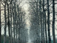 -北京西山滑雪场