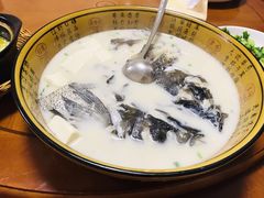 -全乐鱼馆·淳牌有机鱼直营店