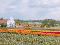 -杭州湾海上花田景区