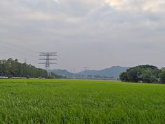 -崖口煲仔饭