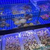 广州白云！！这一口毕生难忘……[流泪][流泪]