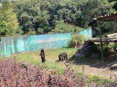 -宁波野生动物园