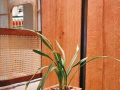 -南堂小馆·川菜馆(德商国际店)
