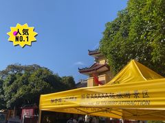 -桂林独秀峰王城景区