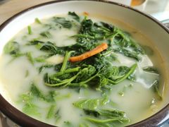 -喜上喜鸡煲翅(吉大店)