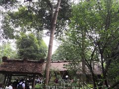 -北宅大永樱桃采摘基地(崂山总部)