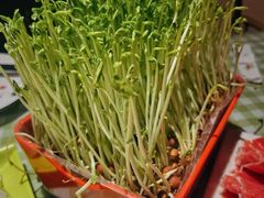 -番食园鲜食火锅(高新店)