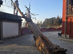 -玉泉观