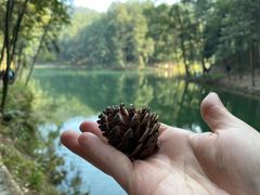-缙云山景区