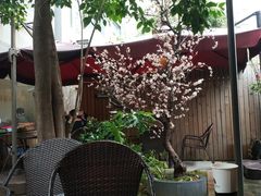 -manabe (共和新路店)