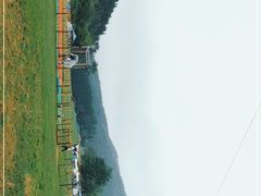-武陵山森林公园