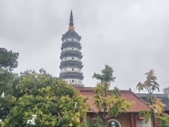 -迎江寺