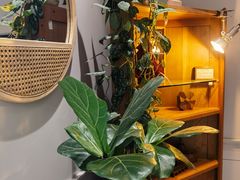 -一尺花园(安和花园店)