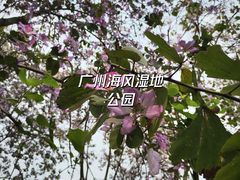 -广州中国大酒店