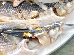 -巽寮印象美食部落餐厅·海鲜·地方特色菜(惠州体验店)