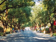 -浙江大学(玉泉校区)