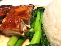烧鹅饭-金玉茶餐厅(南油店)