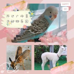 -萌宠亲子动物乐园(槐房万达店)