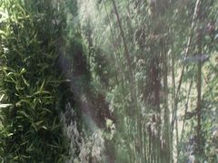 -东方菩提养生SPA馆(武昌总店)