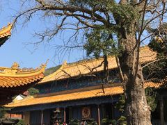 -普陀山风景名胜区-法雨禅寺