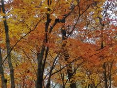 -本溪老边沟风景区