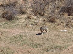 -鄂尔多斯野生动物园