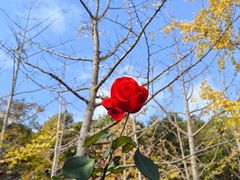 -狼山风景名胜区